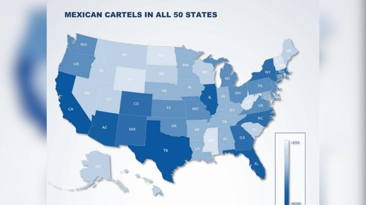 Jalisco New Generation Cartel and the Sinaloa Cartel presidency in the US