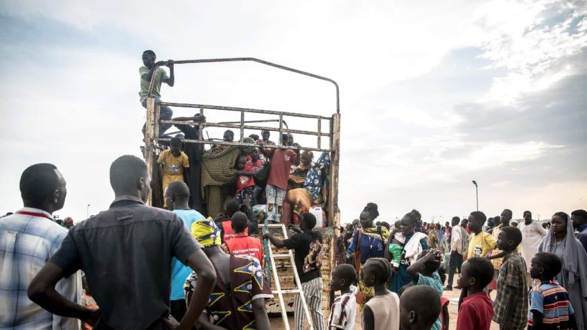 imagen 29086