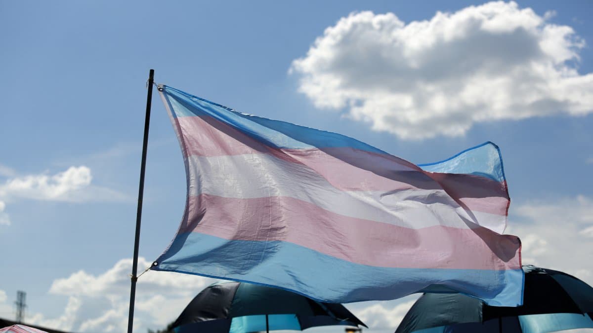 Imagen de la bandera trans