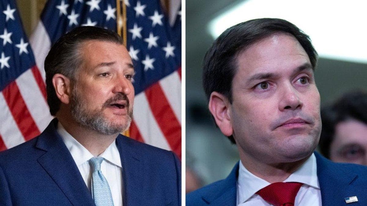 Cruz Rubio