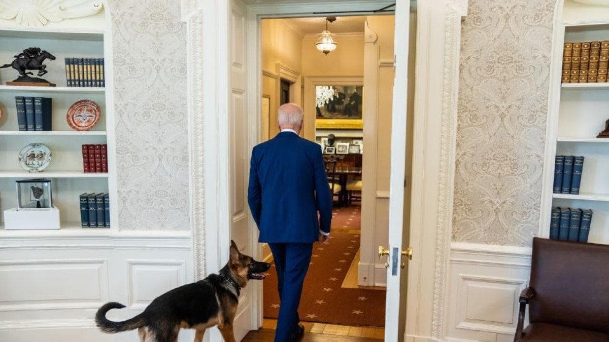 imagen 5942
