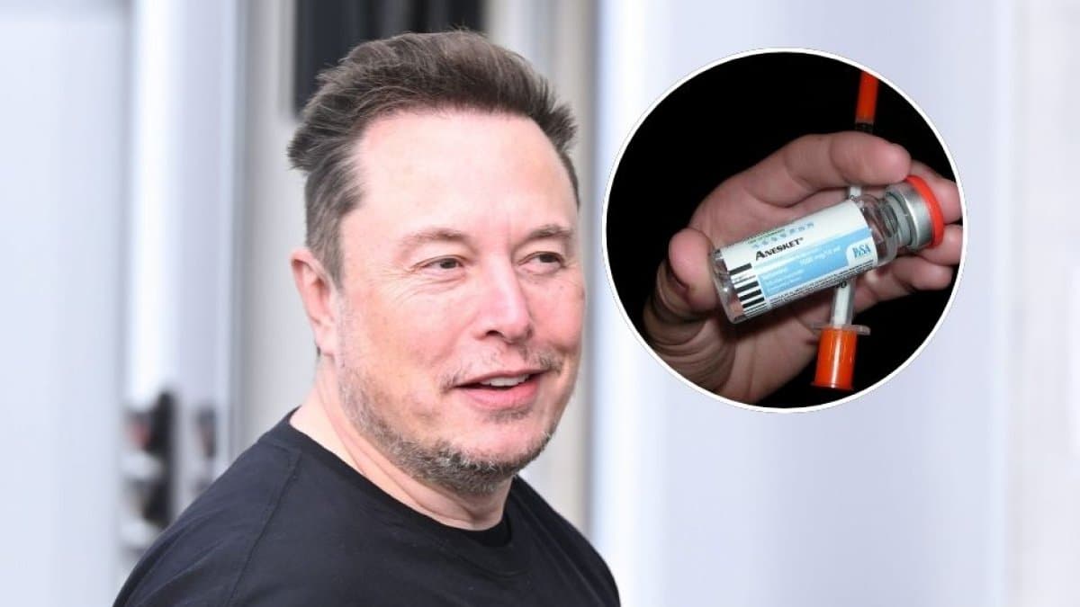 hero 10781