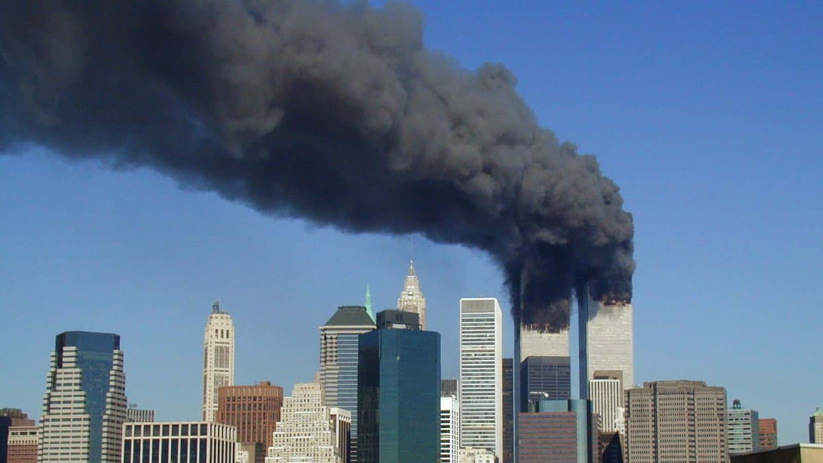 imagen 249