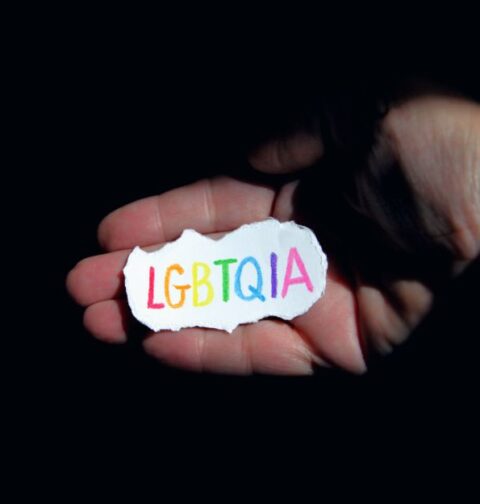 LGBTQ+ transgénero, gays
