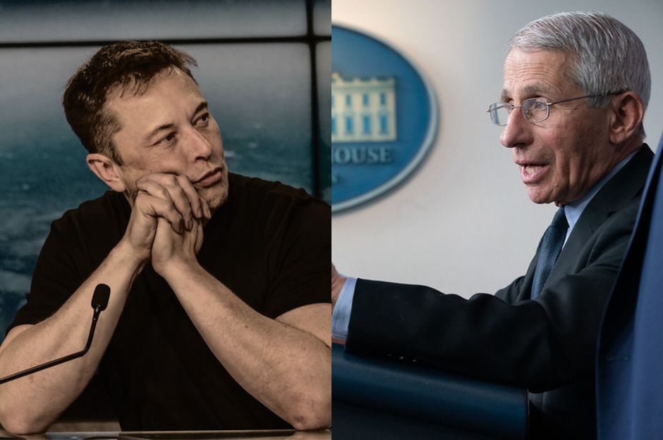 Musk vs Fauci