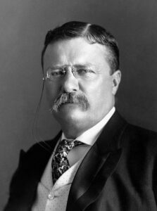 Retrato de Theodore Roosevelt.