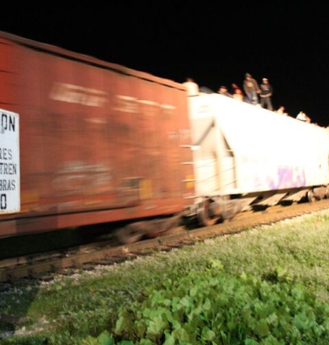 Inmigrantes ilegales intentan cruzar la frontera ocultos en vagones de tren en Texas.