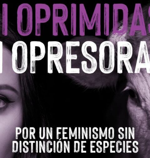 Controvertido cartel del partido político español PACMA para el Día Internacional de la Mujer. Imagen de archivo.